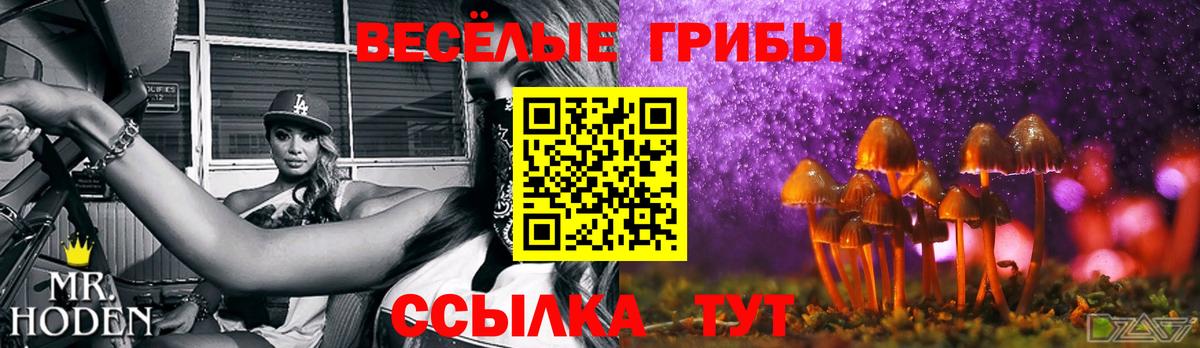 Канабис Кинель
