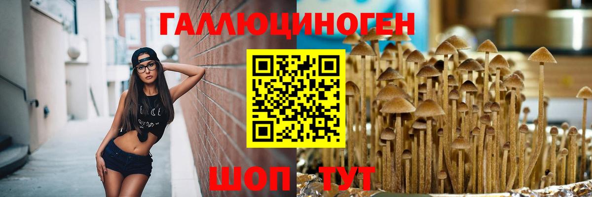 Галлюциногенные грибы Magic Shrooms  Вход с VPN  Кинель 